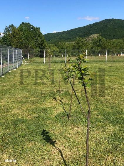 Teren de 800 mp, în Birda