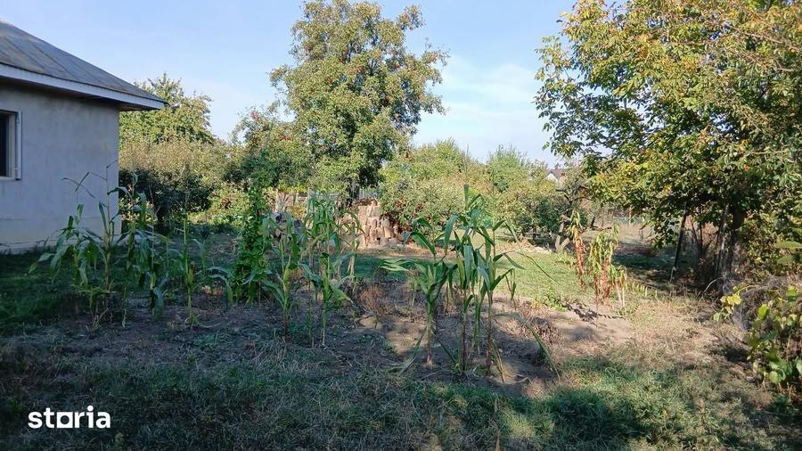 Teren de 650 mp, în Mărgineni