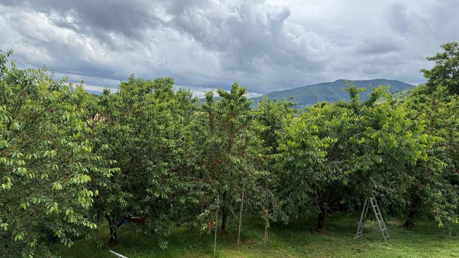 Casă individuală cu 5 camere cu Canalizare în Sadu
