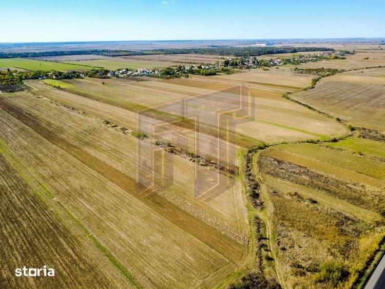 Teren de 31700 mp, în Uliești