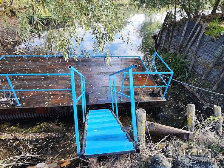 Casă cu Teren 1600 Mp în Dunavățu de Jos