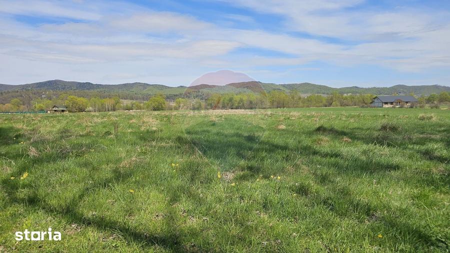 Teren de 10000 mp, în Vânători-Neamț