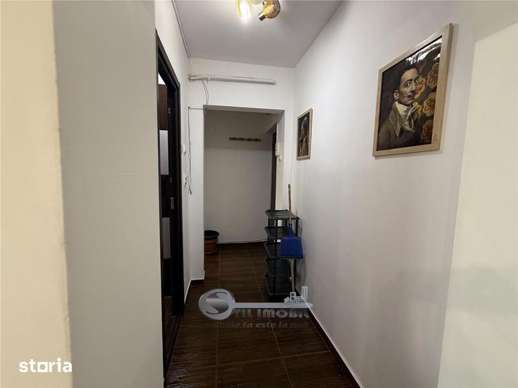3 CAM ALEXANDRU CEL BUN - 3
