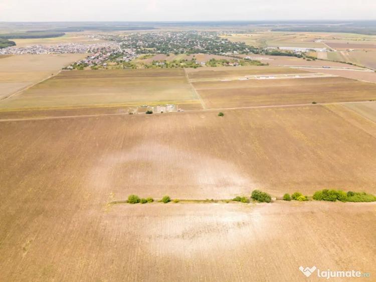 DASCALU TEREN INTRAVILAN 11300 MP, INVESTITIE! - Dascalu (Bucuresti-Ilfov) - 7