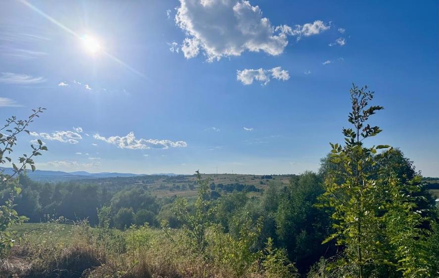 Teren Construcții intravilan de 8600 mp, în Săcuța