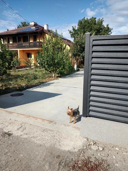 Casă cu 6 camere cu Teren 744 Mp în Vernești
