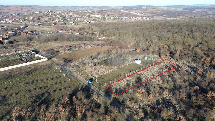 Teren Construcții intravilan de 2555 mp, în Paleu
