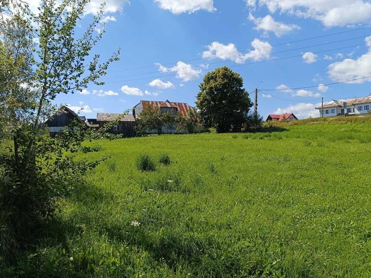 Teren intravilan in Poiana Stampei, 3900 mp - 1