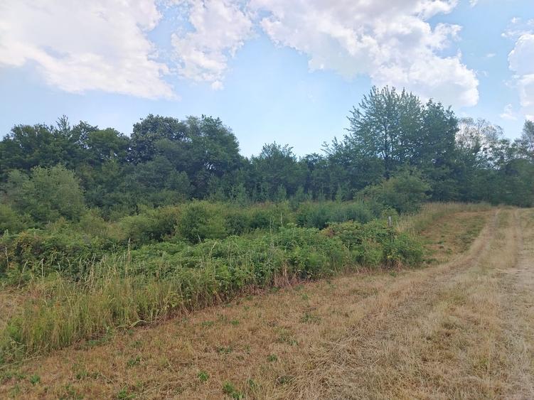 2 Parcele de teren extravilan zona Bradet Pret 3000eur/ar neg usor - 8