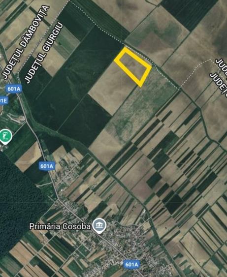 Teren agricol extravilan de 163300 mp, în Cosoba