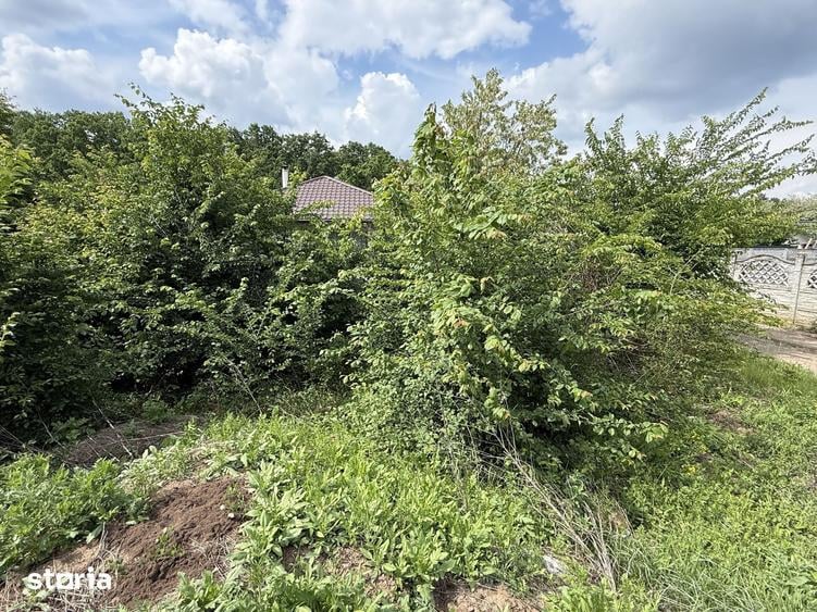Teren de 498.02 mp, în Corbeanca