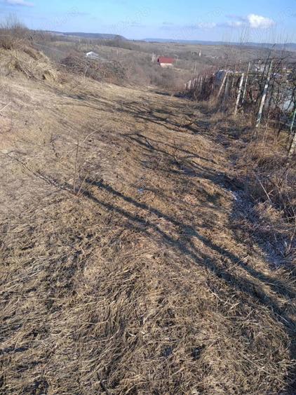 Teren de 1000 mp, în Daia