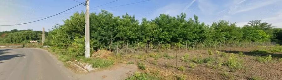Teren intravilan 1800 mp, sat Progresu, com. Sohatu, Calara?i - 3