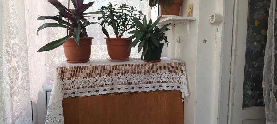 Apartament 3 camere - 7