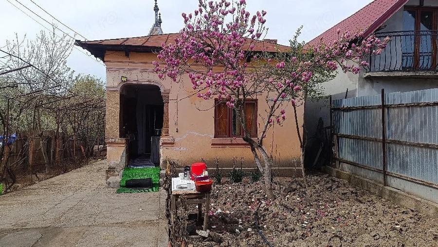 Casa Draga?ani - 2