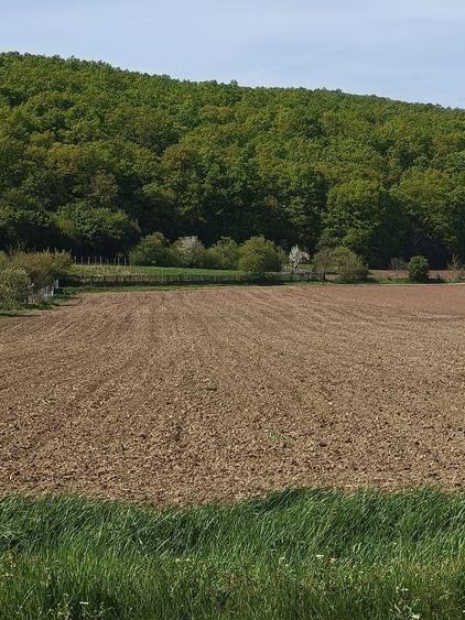 Teren agricol intravilan de 1600 mp, în Ampoița