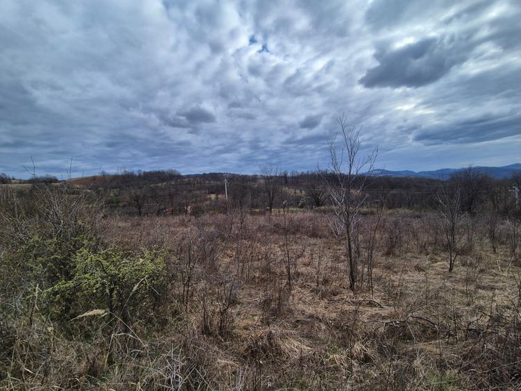 Teren agricol extravilan de 11400 mp, în Iabalcea