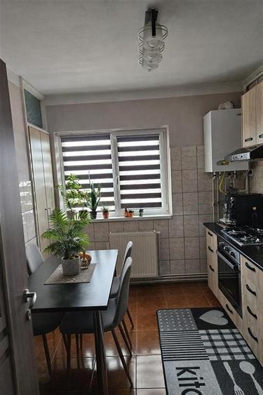 Apartament 2 camere decomandat zona Terezian - 4