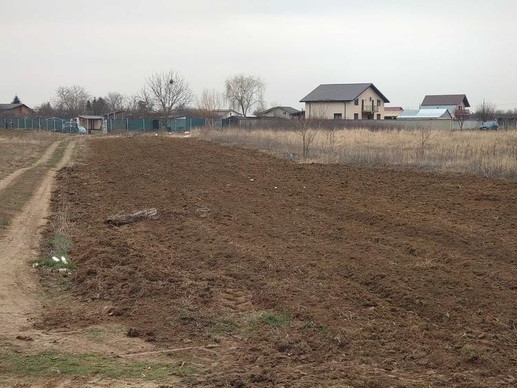 Vand teren 1290 M2 Magurele Pruni Dumitrana (Bragadiru)str Romanitei - 7