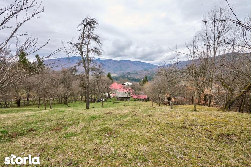 Casă cu 4 camere cu Teren 4213 Mp în Nucșoara