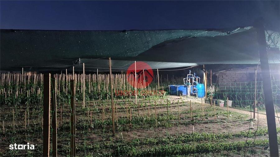 Casă cu 2 camere cu Teren 1711 Mp în Topraisar