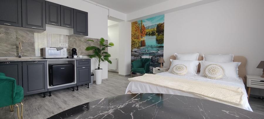 Studio modern, 40 mp | Strada Samuil Vulcan - 4
