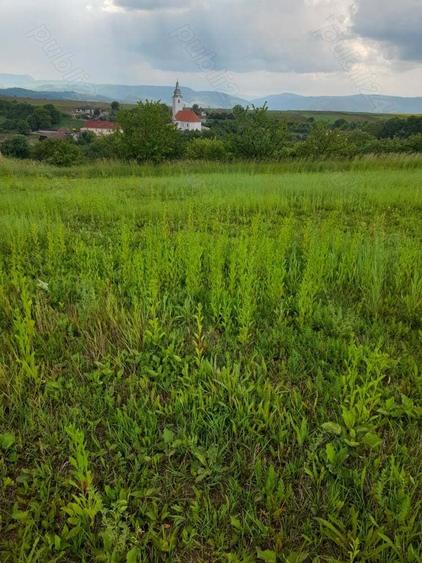 Teren de 34422 mp, în Bădeni