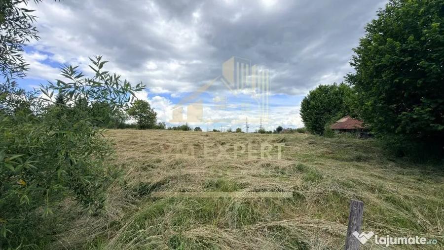Casă cu 3 camere cu Teren 6997 Mp în Bughea de Sus