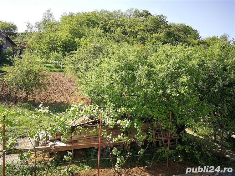 Casă cu 14 camere cu Teren 2500 Mp în Viișoara