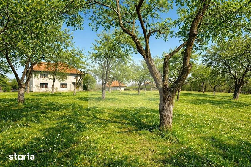 Casă cu 8 camere cu Teren 4815 Mp în Luna