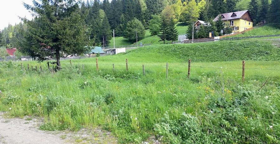 Teren de 1402 mp, în Malul Ursului