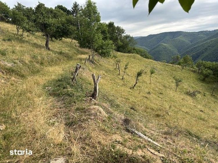 Casă cu 3 camere cu Teren 87271 Mp în Săsciori