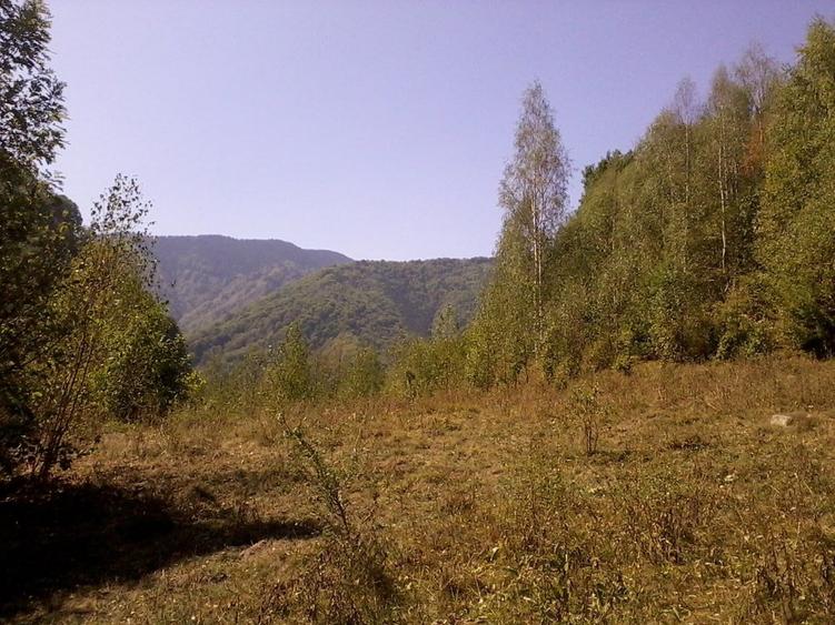 Teren Construcții intravilan de 5700 mp, în Râu de Mori