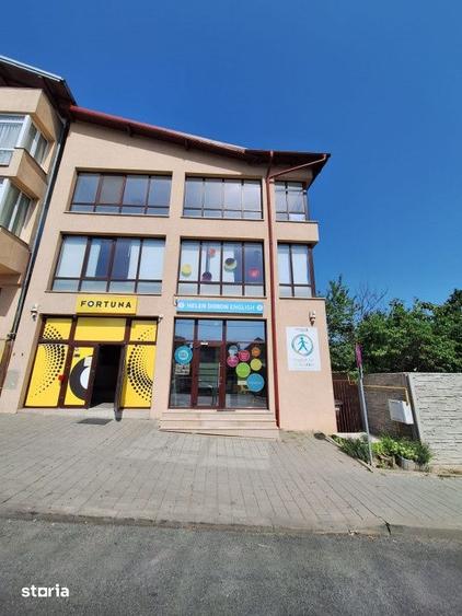 Spațiu comercial, de 255 mp, în Banat