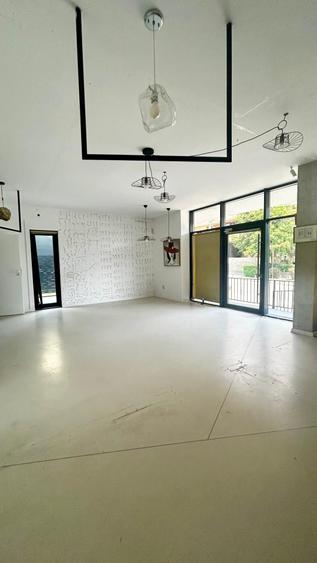 Spațiu comercial, de 47.299999237061 mp, în Grigorescu