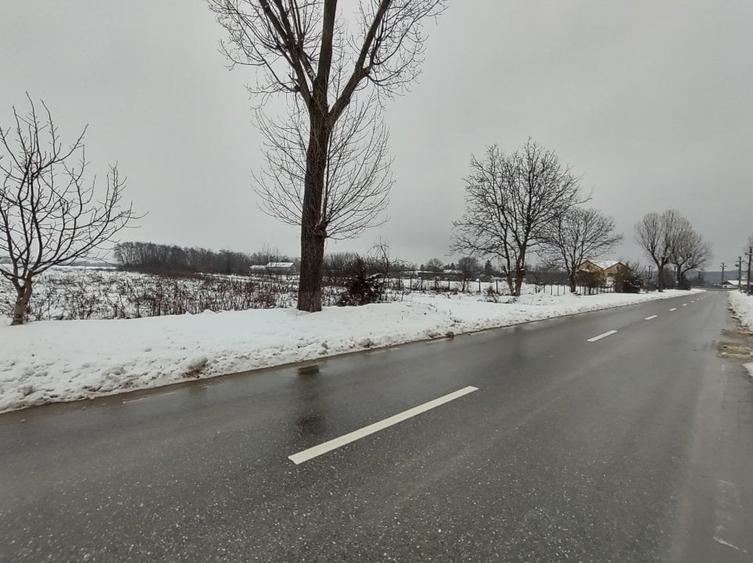 Teren Construcții intravilan de 100000 mp, în Ciolpani