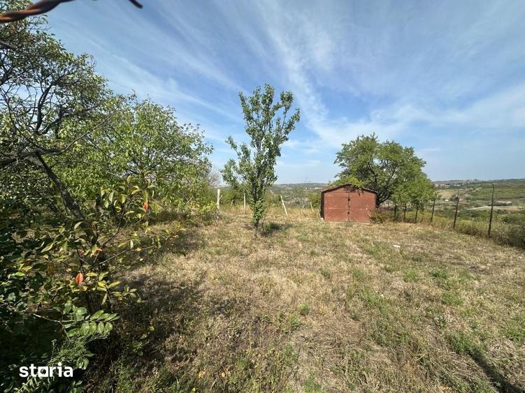 Teren de 1665 mp, în Podgoria