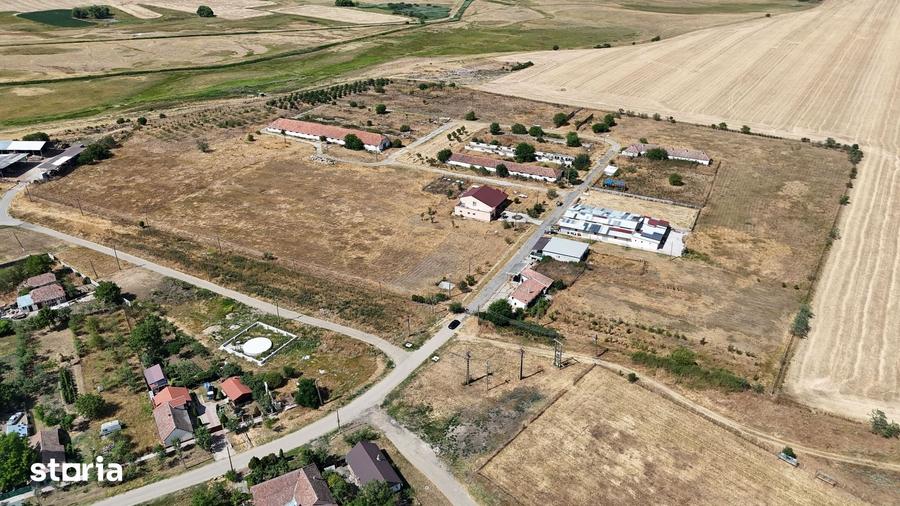 Teren de 90000 mp, în Satchinez