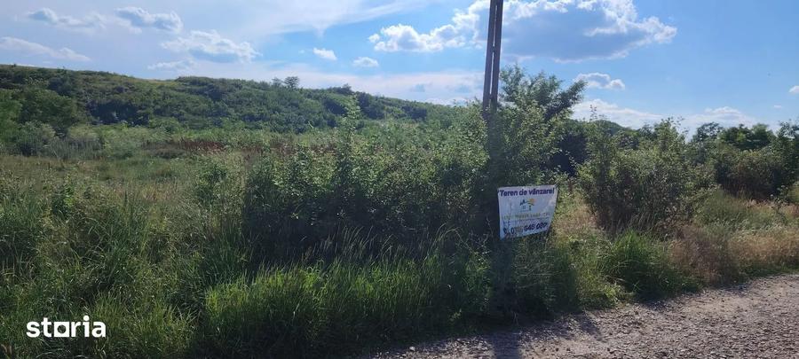 Teren intravilan de vanzare 5.000 mp, Com. Belce?ti (sat Rusi) - 3