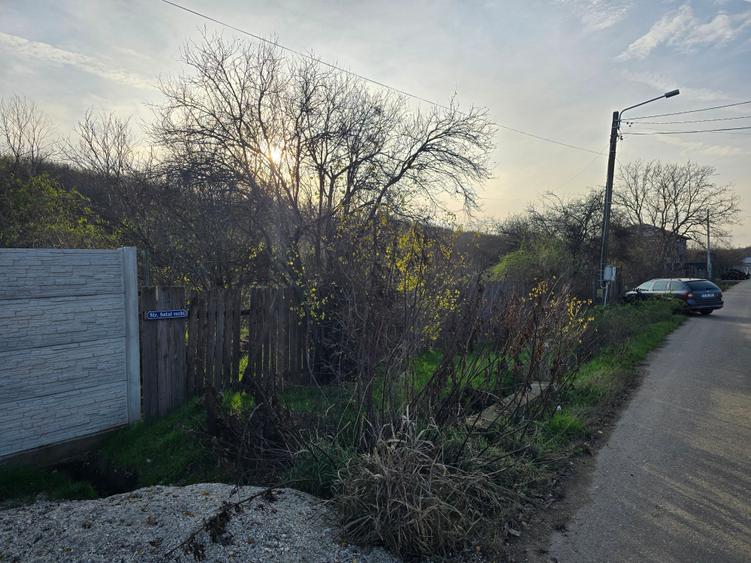 Teren agricol intravilan de 2458 mp, în Bulbucata