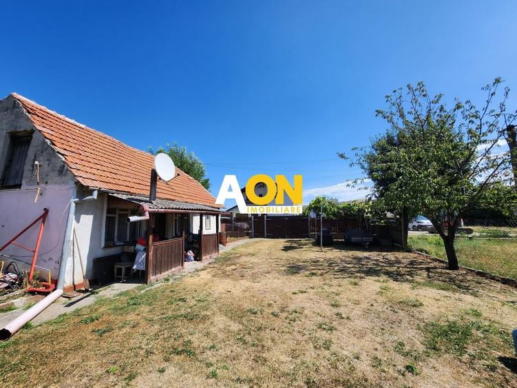 Teren Construcții intravilan de 10651 mp, în Oarda