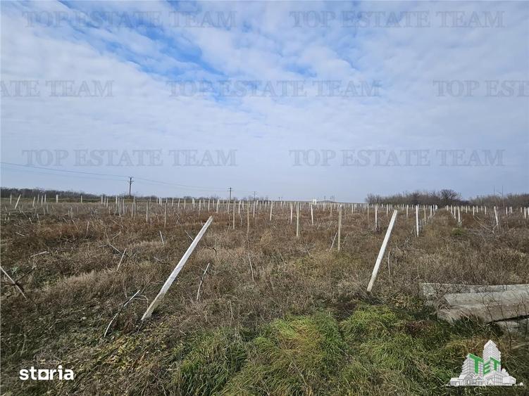 Teren de 28000 mp, în Hârșova