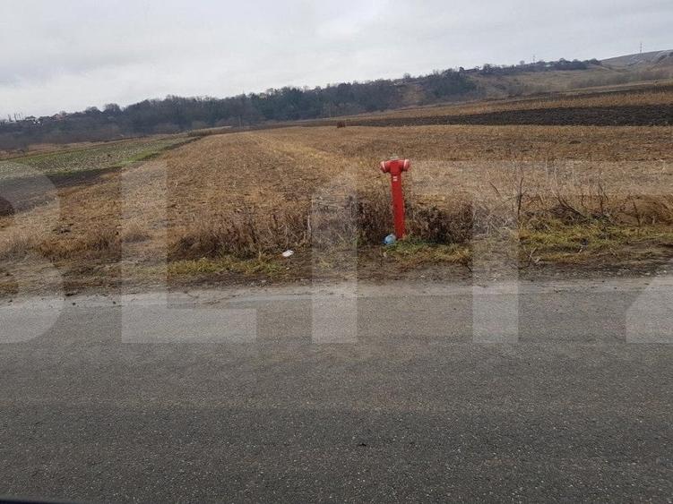 Teren Construcții intravilan de 4000 mp, în Jucu