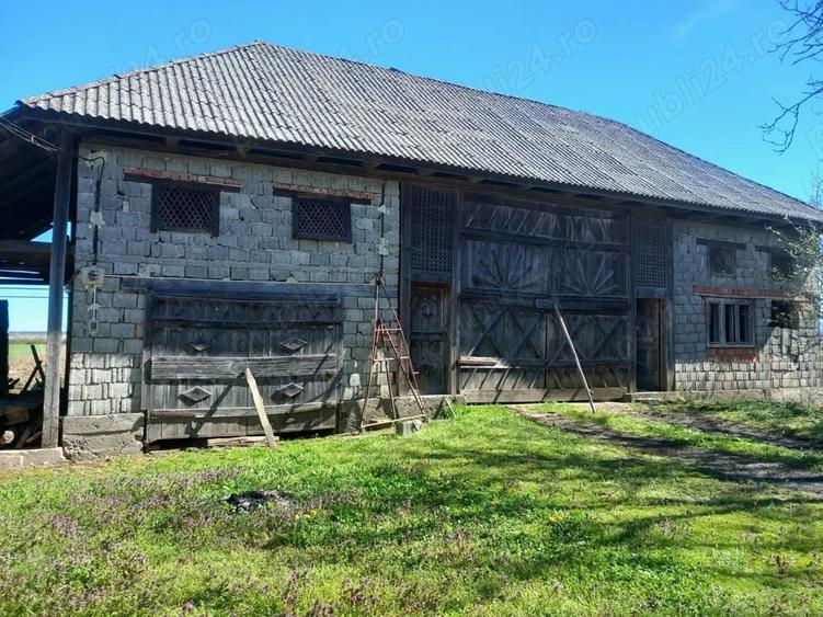 Casă cu 3 camere cu Teren 6500 Mp în Lucăcești