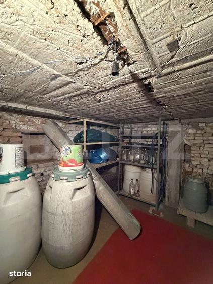Casa pe parter, 115 mpc, 4505 mp teren, zona Bogea-Almaj - 4