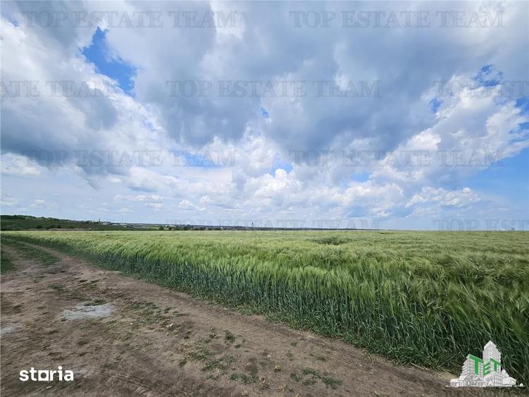 Teren de 50000 mp, în Agigea