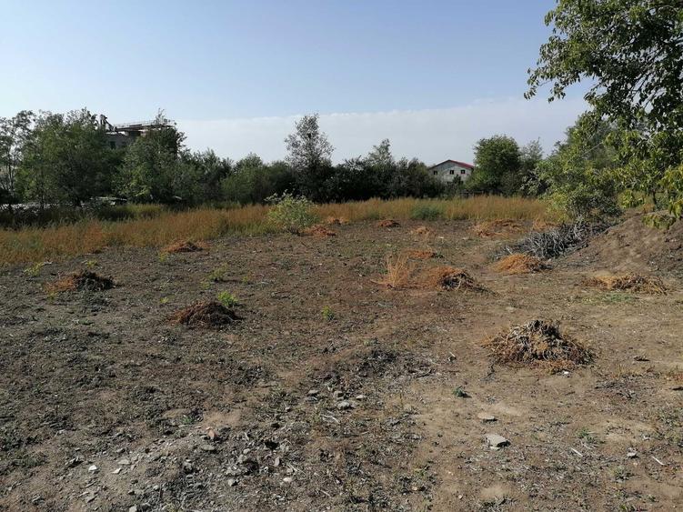 Casă cu 3 camere cu Teren 5000 Mp în Scorțaru Vechi