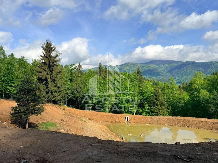 Teren Construcții extravilan de 18000 mp, în Exterior Sud