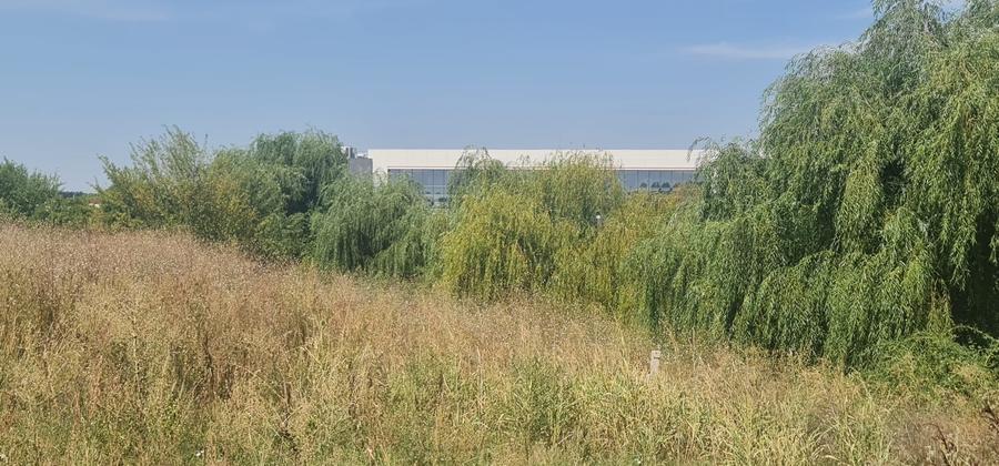 Teren Construcții intravilan de 16000 mp, în Tamași