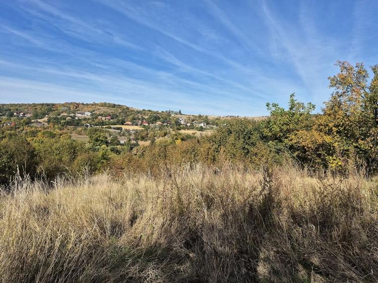 Teren Construcții intravilan de 4420 mp, în Vâlcele